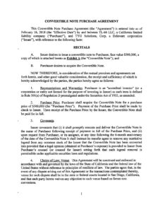convertible-note-purchase-agreement-template