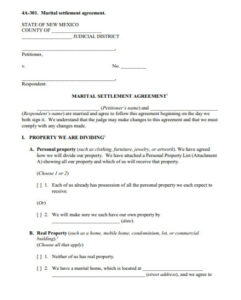 division-of-assets-agreement-template