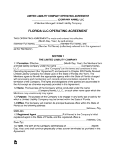 florida-multi-member-llc-operating-agreement-template