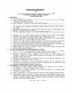 ira-llc-operating-agreement-template