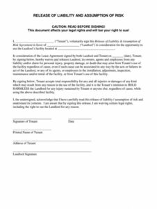 property-damage-settlement-agreement-template