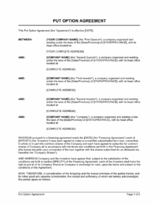put-and-call-option-agreement-template