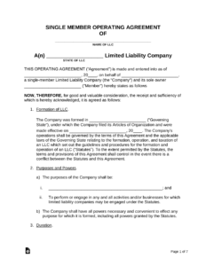 single-member-llc-operating-agreement-template