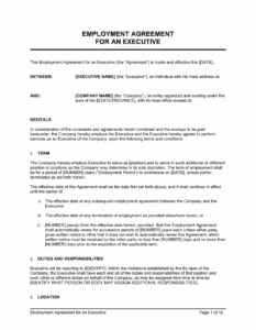 startup-ceo-employment-agreement-template