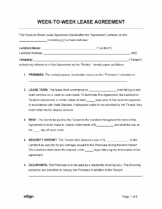 week-to-week-rental-agreement-template